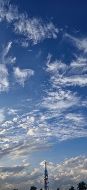 Cumulussky på blå himmel, set nedefra